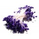 STA3-4mm-09 - (10 buc.) Stamine mov violet inchis perlat 3-4mm