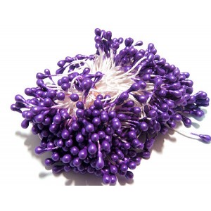 https://www.deida.ro/10358-34311-thickbox/10-buc-stamine-violet-02-perlat-3-4mm.jpg