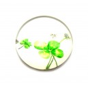 CSP20mm-A-19 - Cabochon sticla print trifoi  20mm