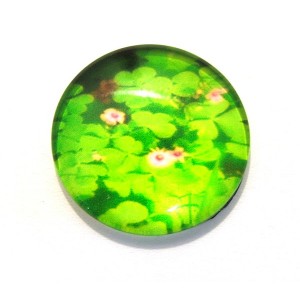 https://www.deida.ro/11480-16980-thickbox/csp25mm-a-249-cabochon-sticla-print-trifoi-25mm.jpg