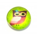CSP20mm-A- - Cabochon sticla print bufnite 20mm - STOC FOARTE LIMITAT!!!