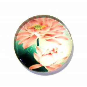 https://www.deida.ro/12287-17827-thickbox/csp16mm-a-cabochon-sticla-print-flori-16mm.jpg