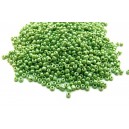 MN2mm-08 - (25 grame) Margele nisip verde pal irizat 2mm