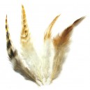 Pene naturale decorative diverse culori 12-22cm