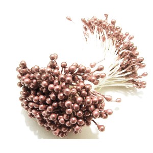 https://www.deida.ro/14861-34318-thickbox/10-buc-stamine-old-rose-perlate-3-4mm.jpg