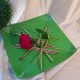 Platou decorativ imitatie piele verde 40*40cm