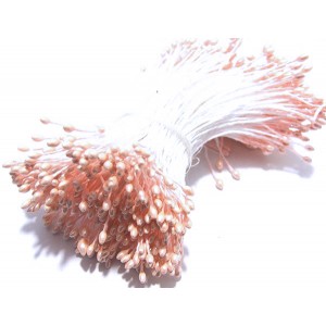 https://www.deida.ro/15025-34289-thickbox/10-buc-stamine-roz-somon-perlate-1-2mm.jpg