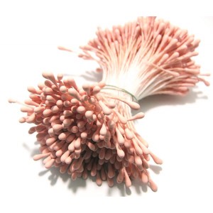 https://www.deida.ro/15028-34291-thickbox/10-buc-stamine-roz-prafuit-mat-1-2mm.jpg