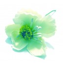  FLO44 - Anemone artificiale verde pal 4-5cm/9cm