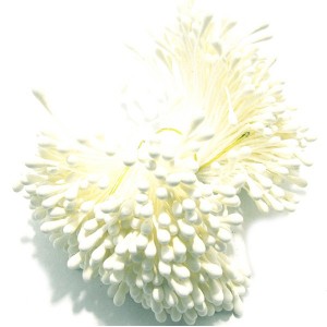 https://www.deida.ro/15981-34296-thickbox/sta1-2mm-32-10-buc-stamine-ivory-mat-1-2mm.jpg