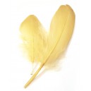 Pene gasca galben vanilie 12-22cm