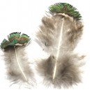PD02-B - Pene decorative naturale 4-10cm