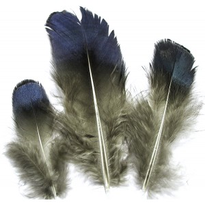 https://www.deida.ro/16303-36453-thickbox/pd06-pene-decorative-naturale-4-9cm.jpg