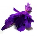 E-PD21- (100 buc.) Pene decorative naturale violet 12-18cm