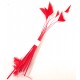 DISPONIBIL 8 SETURI - PD22-H - (8 buc.) Pene decorative naturale rosii 12-18cm