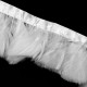 Banda pene albe 5cm