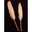 Pene caisa 9-15cm