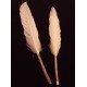 Pene caisa 9-15cm