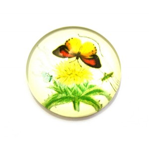https://www.deida.ro/17384-24143-thickbox/disponibil-3-bucati-csp12mm-a-137-cabochon-sticla-print-fluturi-12mm-stoc-foarte-limitat.jpg