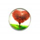 DISPONIBIL 1 BUCATA - CSP25mm-A-272 - Cabochon sticla print copac 25mm - STOC FOARTE LIMITAT!!!