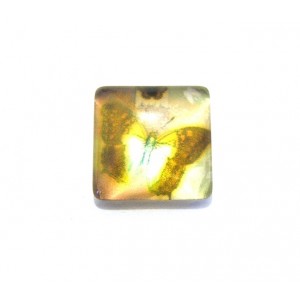https://www.deida.ro/18216-25010-thickbox/disponibil-4-bucati-csp1515mm-a-137-cabochon-sticla-patrat-print-fluturi-1515mm-stoc-foarte-limitat.jpg