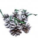 DISPONIBIL 2 SETURI - (7 bucati) - Conuri de brad argintii 4-5cm 