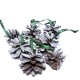 DISPONIBIL 1 SET - (7 bucati) - Conuri de brad argintii 4-5cm 