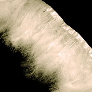 https://www.deida.ro/18822-36429-thickbox/banda-pene-ivory-10-18cm-5cm.jpg