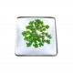 DISPONIBIL 1 BUCATA - CSFU25*25mm-01 - Cabochon sticla flori uscate 25*25mm
