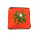 DISPONIBIL 1 BUCATA - CSFU25*25mm-07 - Cabochon sticla flori uscate 25*25mm
