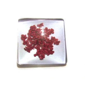 https://www.deida.ro/19478-26500-thickbox/disponibil-1-bucata-csfu25mm-40-cabochon-sticla-flori-uscate-25mm.jpg