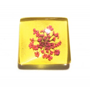 https://www.deida.ro/19487-26509-thickbox/disponibil-1-bucata-csfu25mm-40-cabochon-sticla-flori-uscate-25mm.jpg