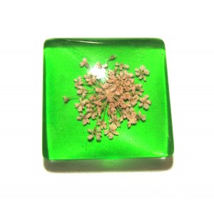 https://www.deida.ro/19490-26512-thickbox/disponibil-1-bucata-csfu25mm-40-cabochon-sticla-flori-uscate-25mm.jpg