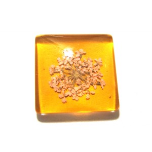 https://www.deida.ro/19497-26519-thickbox/disponibil-1-bucata-csfu25mm-40-cabochon-sticla-flori-uscate-25mm.jpg
