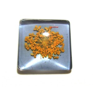 https://www.deida.ro/19507-26529-thickbox/disponibil-1-bucata-csfu25mm-40-cabochon-sticla-flori-uscate-25mm.jpg