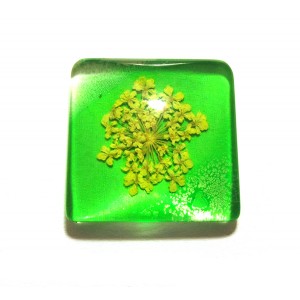 https://www.deida.ro/19514-26536-thickbox/disponibil-1-bucata-csfu25mm-40-cabochon-sticla-flori-uscate-25mm.jpg