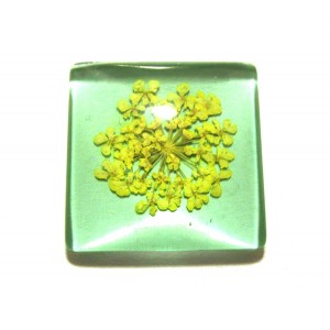 https://www.deida.ro/19515-26537-thickbox/disponibil-1-bucata-csfu25mm-40-cabochon-sticla-flori-uscate-25mm.jpg