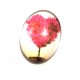 DISPONIBIL 4 BUCATI - CSP25*18mm-A-51 - Cabochon sticla print copac 25*18mm