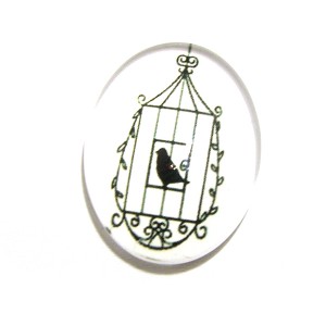 https://www.deida.ro/19607-26631-thickbox/disponibil-1-bucata-csp2518mm-a-81-cabochon-sticla-print-colivie-cu-pasare-2518mm.jpg