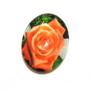 https://www.deida.ro/19674-26697-thickbox/disponibil-4-bucati-csp2518mm-a-153-cabochon-sticla-print-flori-2518mm.jpg