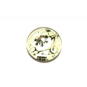 https://www.deida.ro/20634-27823-thickbox/disponibil-3-bucati-csp12mm-a-501-cabochon-sticla-print-craciun-12mm.jpg