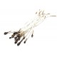 STA1-2mm-02A - (10 buc.) Stamine maro perlat 1-2mm - STOC FOARTE LIMITAT!!!