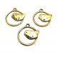 CP99A - Charm pasare auriu antic 22*20mm