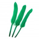 Pene verzi 70mm