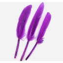 Pene lila intens 11-15cm