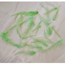 60 GRAME (2.900-3.900 buc.) - Pene cocos subtiri verde mar 4-14cm