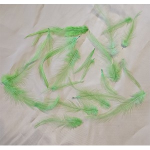 https://www.deida.ro/26403-38799-thickbox/60-grame-2900-3900-buc-pene-cocos-subtiri-verde-mar-4-14cm.jpg