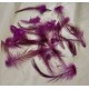 70 GRAME (3.200-3.700 buc.) - Pene cocos subtiri fucsia 4-14cm