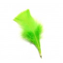 Pene curcan verde mar 9-14cm