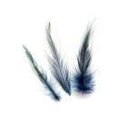 (8 buc.) Pene cocos subtiri bleumarin 4-8cm